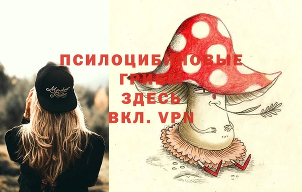 каннабис Белокуриха