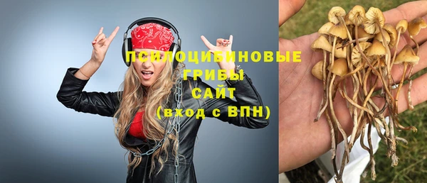 амф Богородск