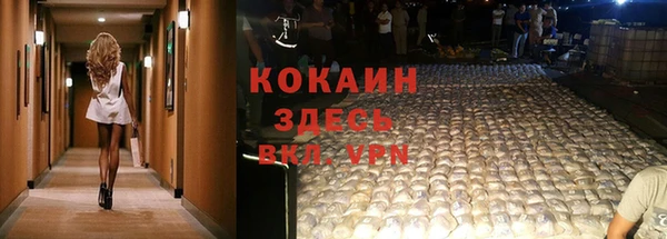 гидропоника Богданович