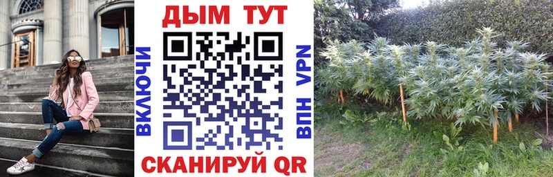 как найти   Видное  Конопля тримм 